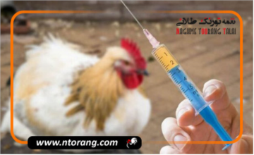 تولید آنتی ژن آنفلوانزای فوق حاد پرندگان برای نخستین بار در کشور